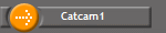 Catcam1