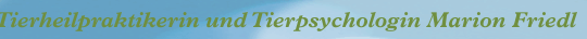 company_name