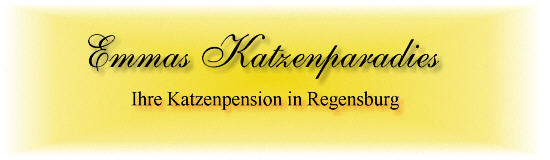 logo_schrift_neu03